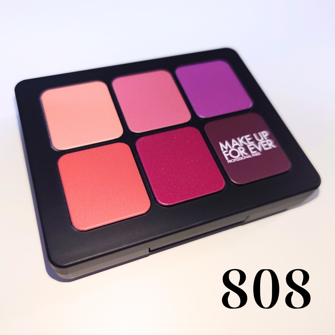 アーティスト トゥ ゴー/MAKE UP FOR EVER/アイシャドウパレットを使ったクチコミ（2枚目）