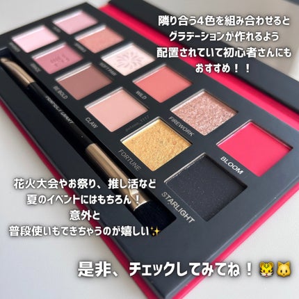 エクスプローラ12色 動物アイシャドウパレット/PERFECT DIARY/アイシャドウパレットを使ったクチコミ(6枚目)