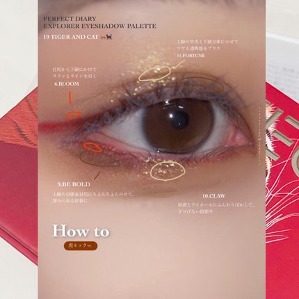 エクスプローラ12色 動物アイシャドウパレット/PERFECT DIARY/アイシャドウパレットを使ったクチコミ(4枚目)