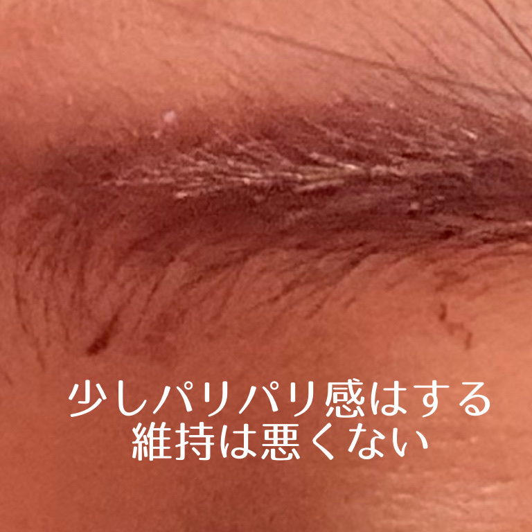 &.Wチャーム　アイブロウマスカラ/DAISO/眉マスカラを使ったクチコミ（3枚目）