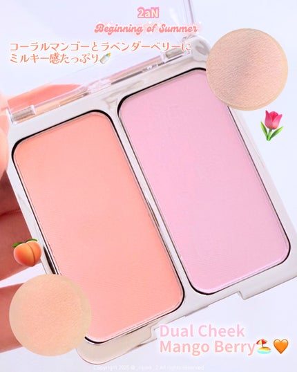 デュアルチーク/2aN/パウダーチークを使ったクチコミ(6枚目)