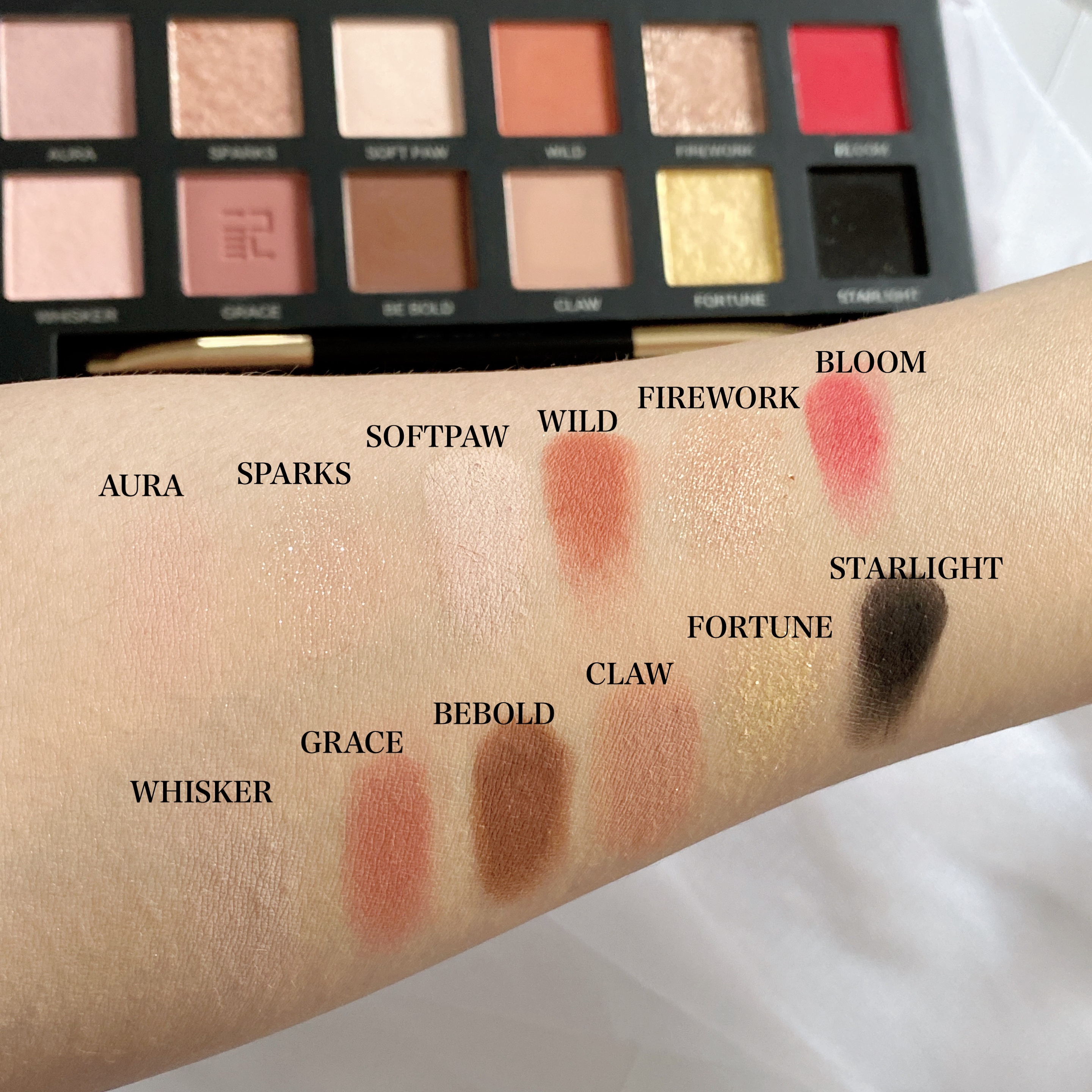 エクスプローラ12色 動物アイシャドウパレット/PERFECT DIARY/アイシャドウパレットを使ったクチコミ（3枚目）