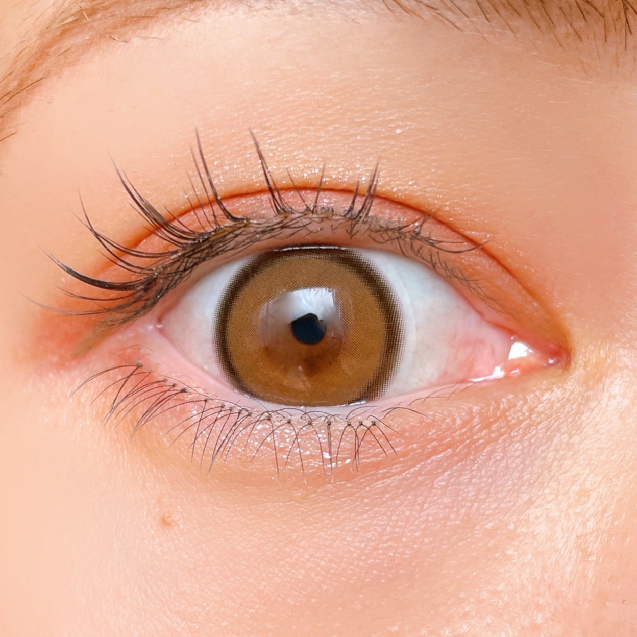 シルキースフレアイズ（マットタイプ）/キャンメイク/アイシャドウパレットを使ったクチコミ（3枚目）