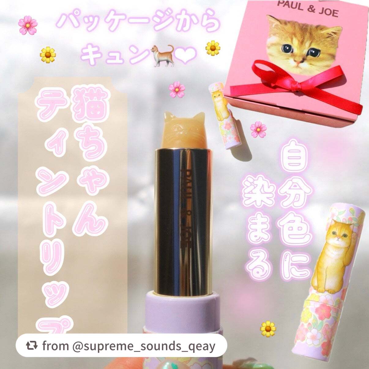 【supreme_sounds_qeayさんから引用】

“

⋆˖  自分色に染まる🌸猫ちゃんティントリップ🐈 ˖⋆


今回は、この春から定番に仲間入りしたPAUL & JOEのリップについてご紹介します🌼
パッケージもリップ本体