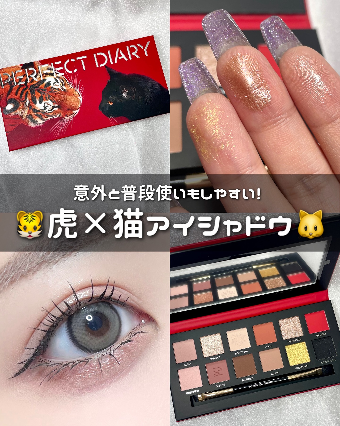 エクスプローラ12色 動物アイシャドウパレット/PERFECT DIARY/アイシャドウパレットを使ったクチコミ（1枚目）
