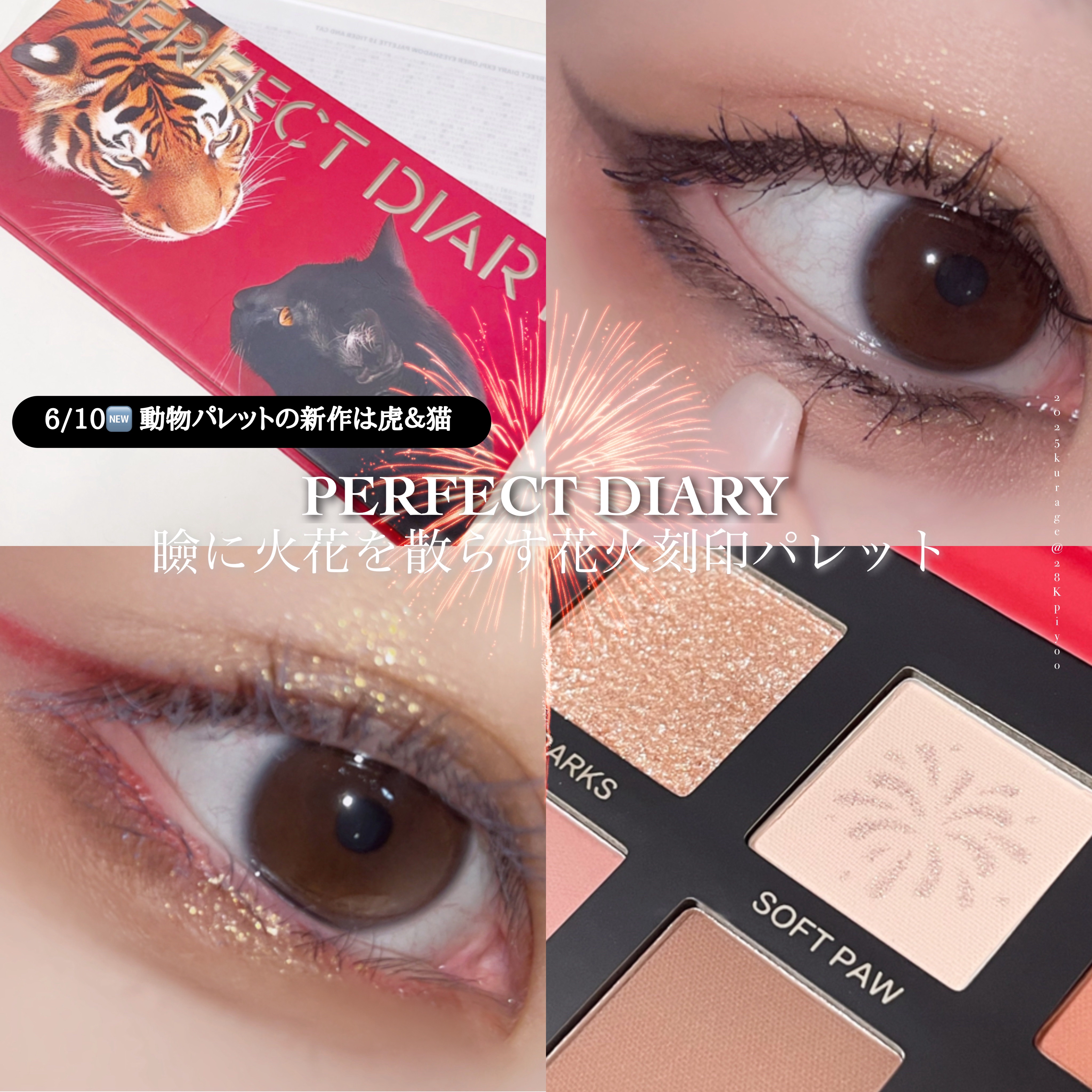 エクスプローラ12色 動物アイシャドウパレット/PERFECT DIARY/アイシャドウパレットを使ったクチコミ（1枚目）