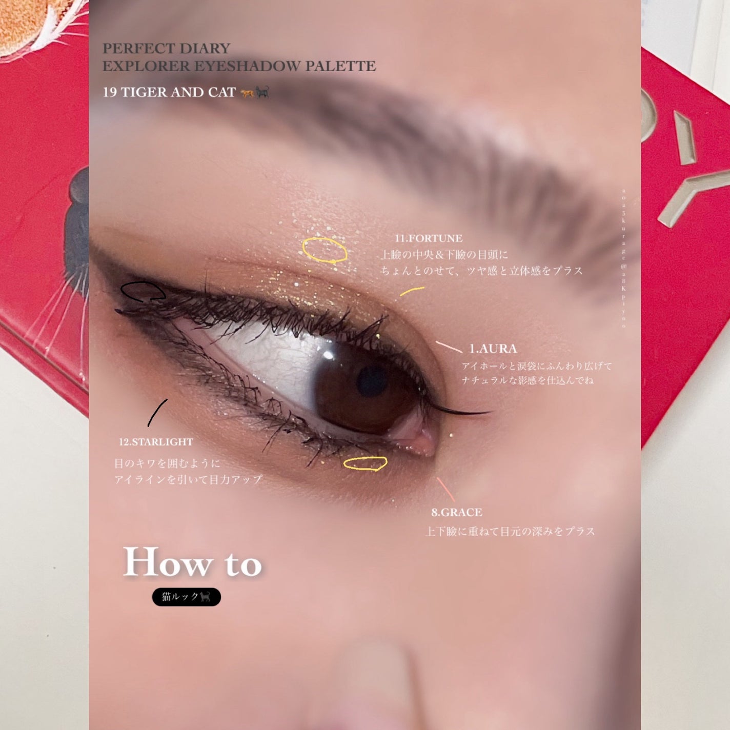 エクスプローラ12色 動物アイシャドウパレット/PERFECT DIARY/アイシャドウパレットを使ったクチコミ(5枚目)