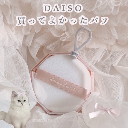 メイクアップパフ(パウダー用、2個、専用ケース付)/DAISO/パフ・スポンジを使ったクチコミ(1枚目)