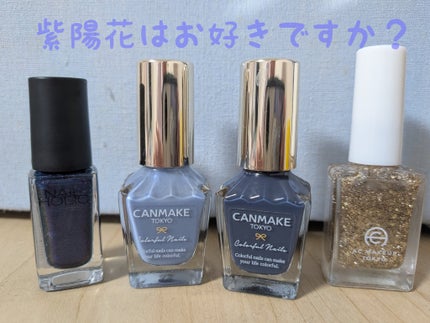 ネイルホリック Galactic color/ネイルホリック/マニキュアを使ったクチコミ(2枚目)