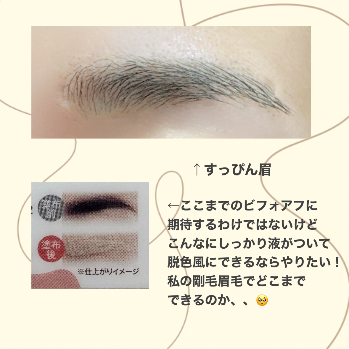 コンシーラーブロウマスカラ 02 ホワイトベージュ/キャンメイク/その他アイブロウを使ったクチコミ（3枚目）