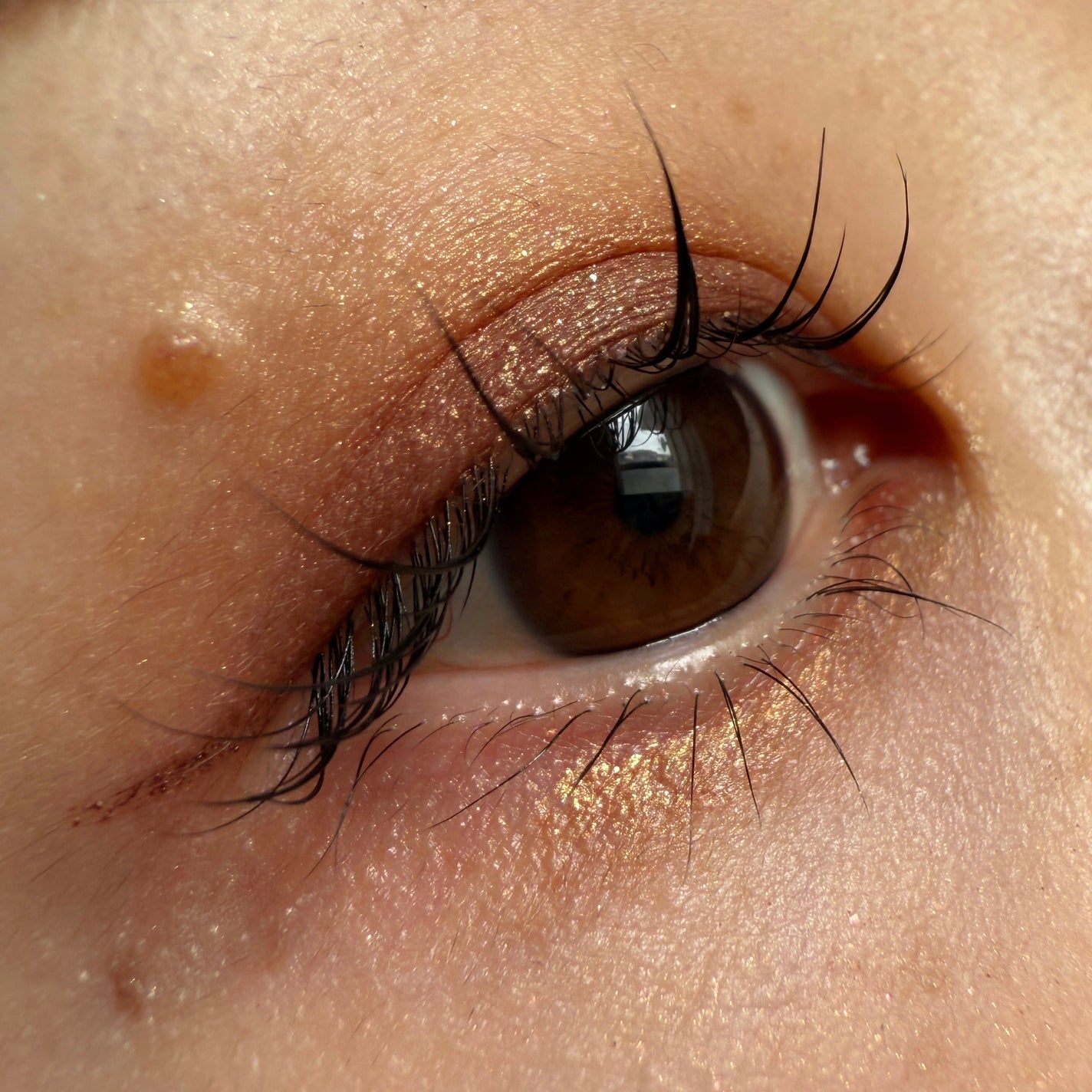 ダズルシャドウ/M・A・C/単色アイシャドウを使ったクチコミ(1枚目)