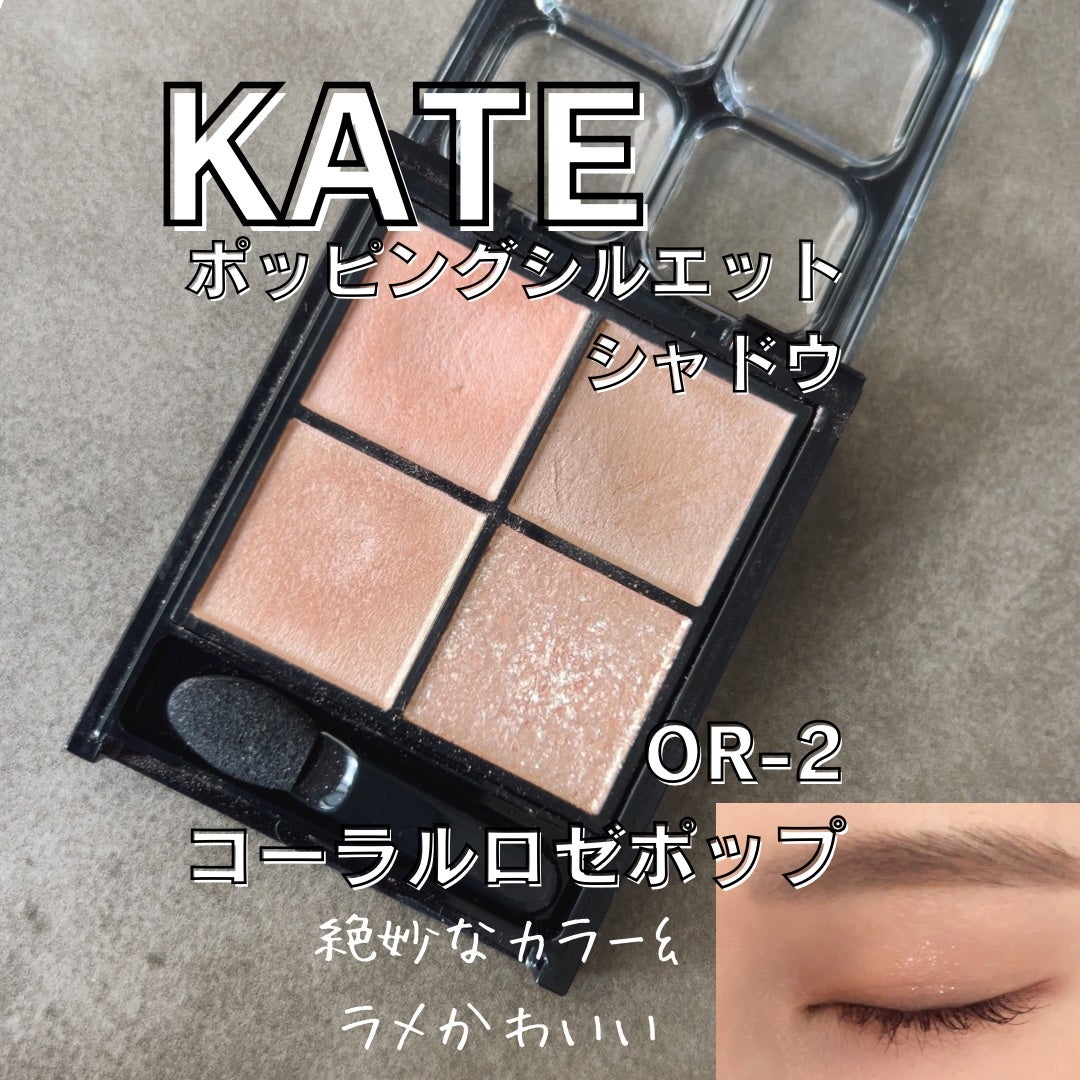 ケイト ポッピングシルエットシャドウ/KATE/アイシャドウパレットを使ったクチコミ(1枚目)