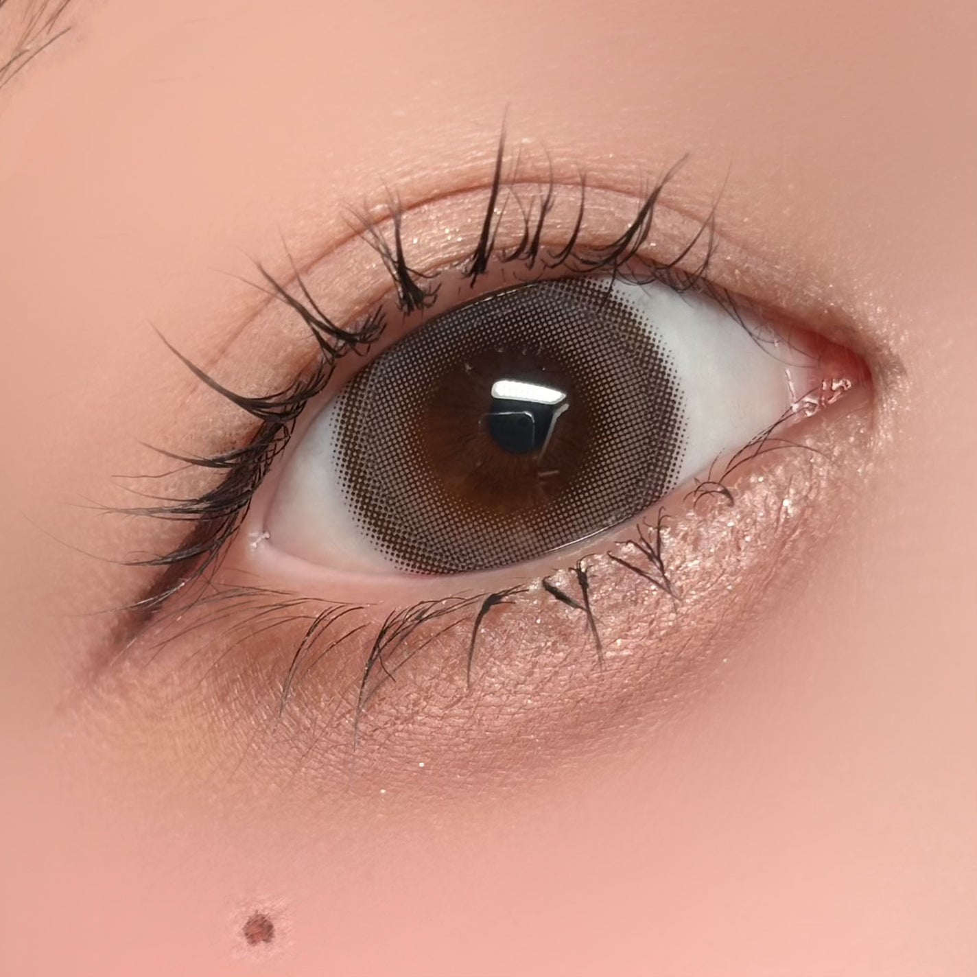 chuuLENS Milk&Tea Royal 1day/chuu LENS/ワンデー(1DAY)カラコンを使ったクチコミ(2枚目)