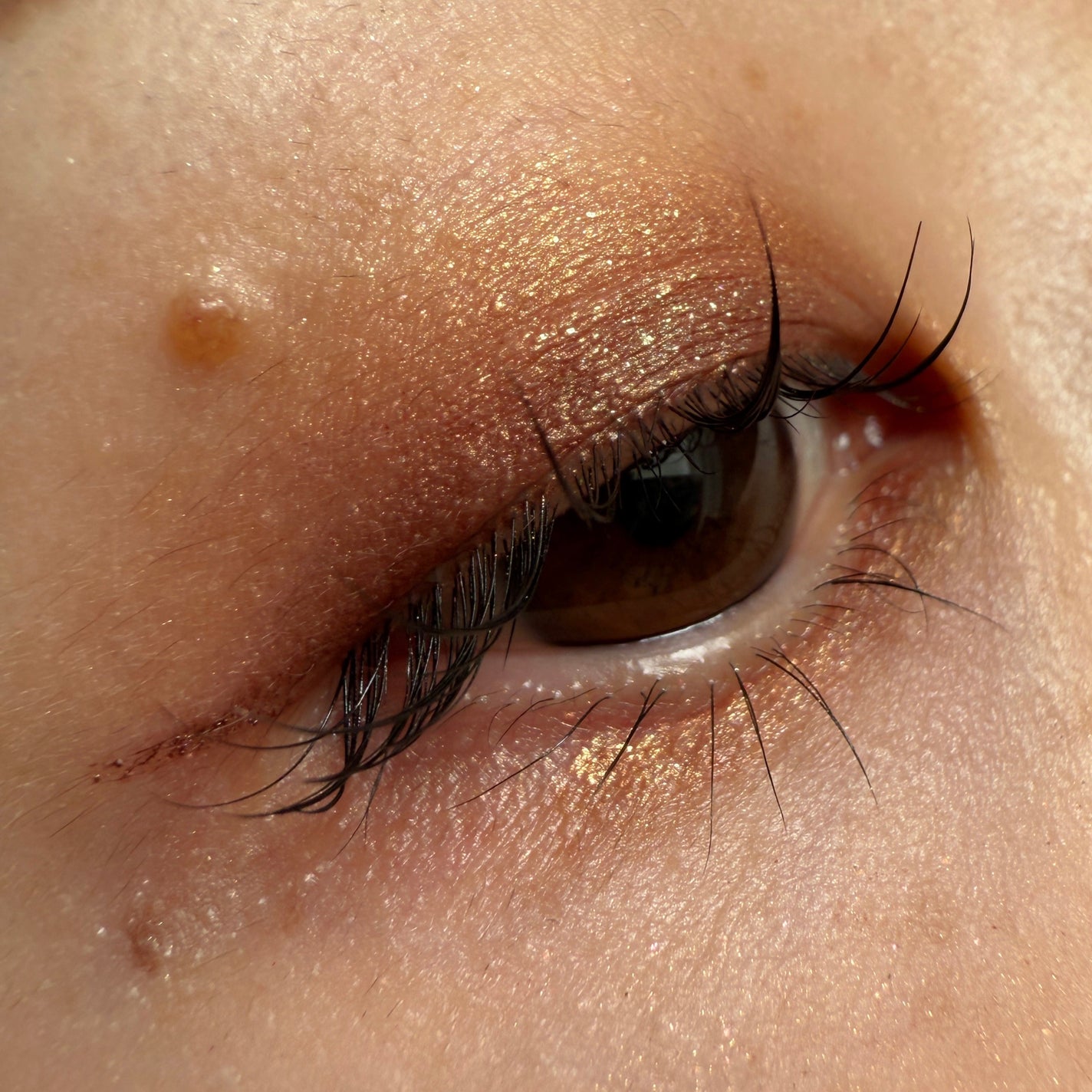 ダズルシャドウ/M・A・C/単色アイシャドウを使ったクチコミ(2枚目)