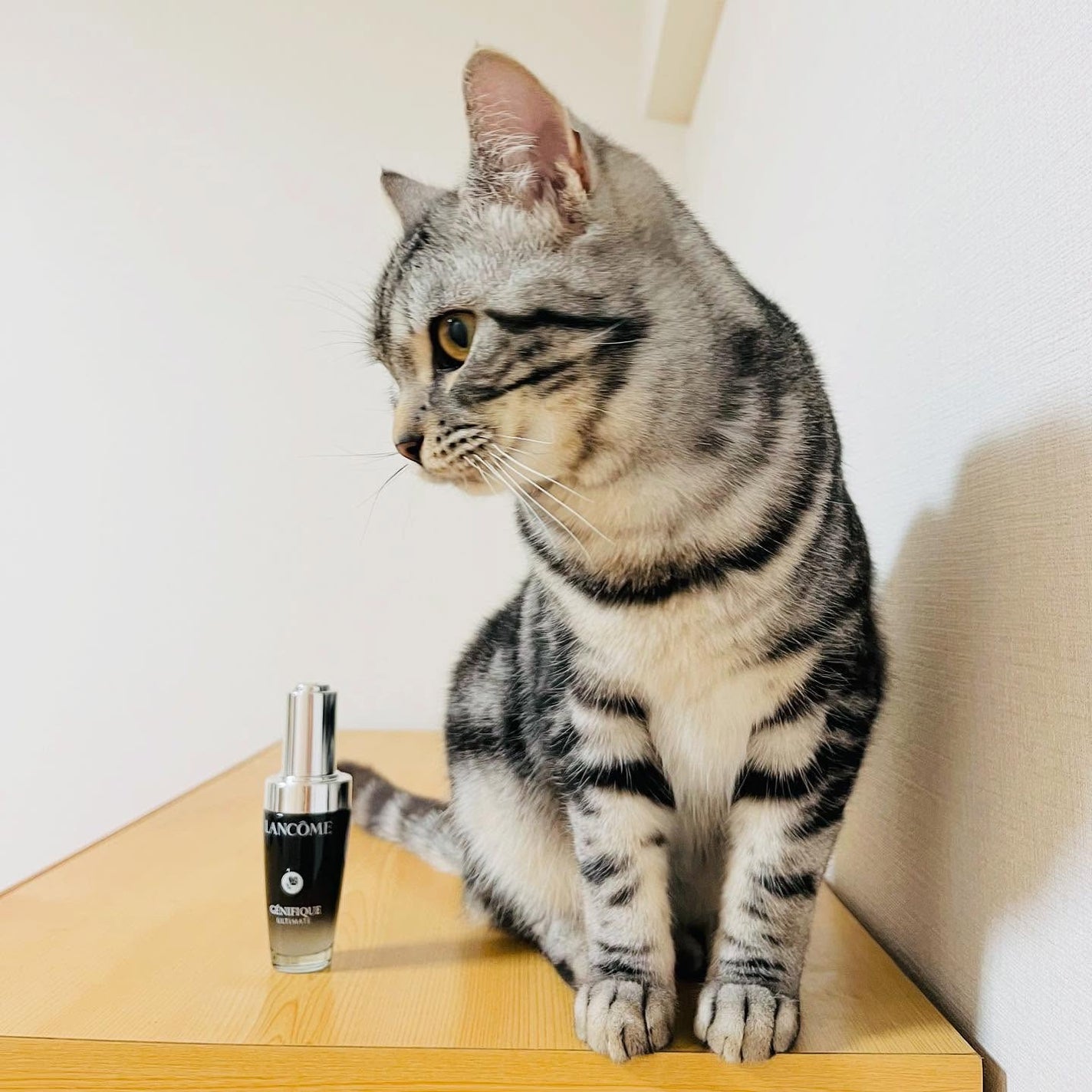 ジェニフィック アルティメ セラム/LANCOME/美容液を使ったクチコミ(2枚目)