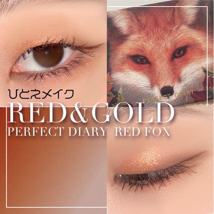 エクスプローラ12色 動物アイシャドウパレット/PERFECT DIARY/アイシャドウパレットを使ったクチコミ(1枚目)