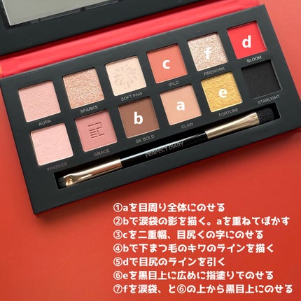 エクスプローラ12色 動物アイシャドウパレット/PERFECT DIARY/アイシャドウパレットを使ったクチコミ(6枚目)