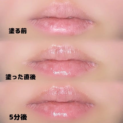 リップガーディアン プランプスティック/LIPGUARDIAN/リッププランパーを使ったクチコミ(3枚目)