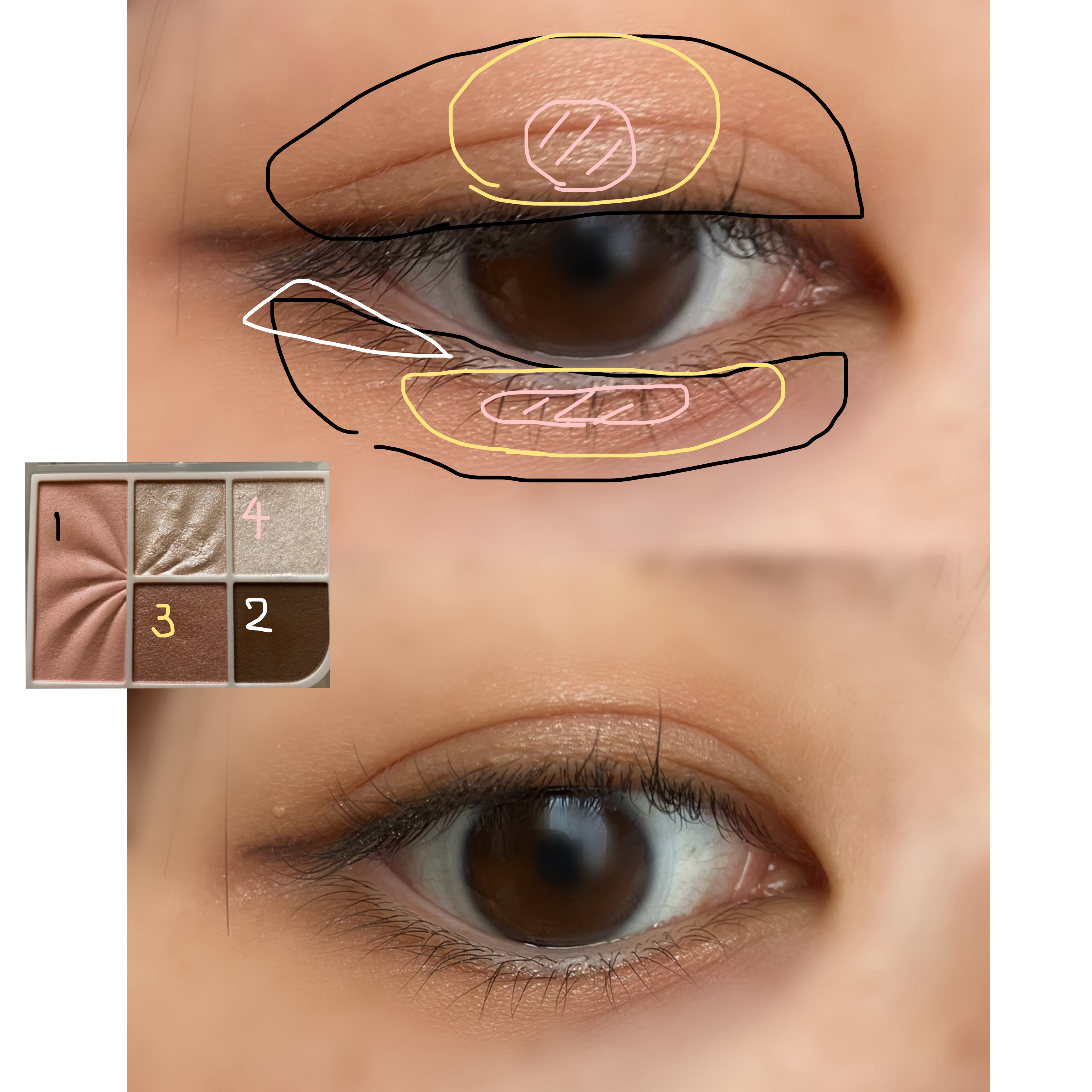 フェイスアイパレット/CEZANNE/アイシャドウを使ったクチコミ（3枚目）