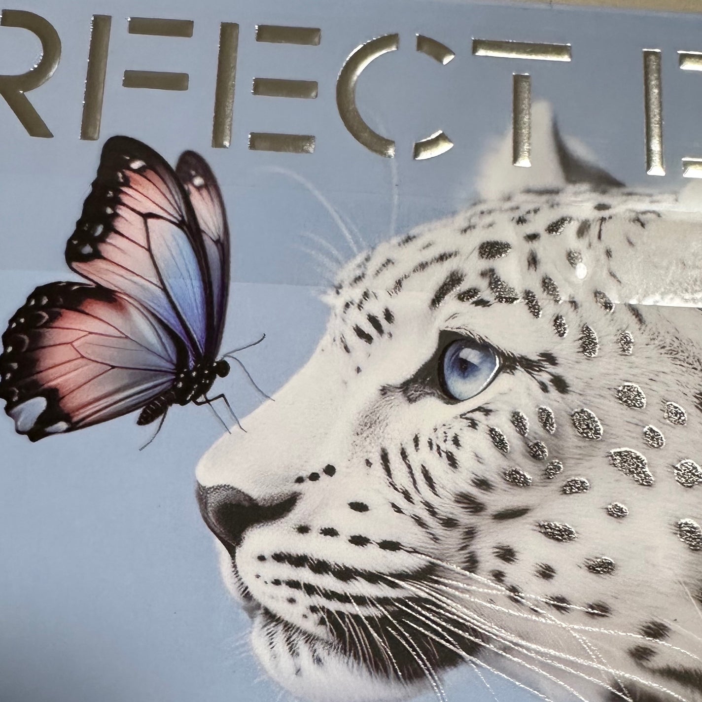 エクスプローラ12色 動物アイシャドウパレット/PERFECT DIARY/アイシャドウパレットを使ったクチコミ(3枚目)