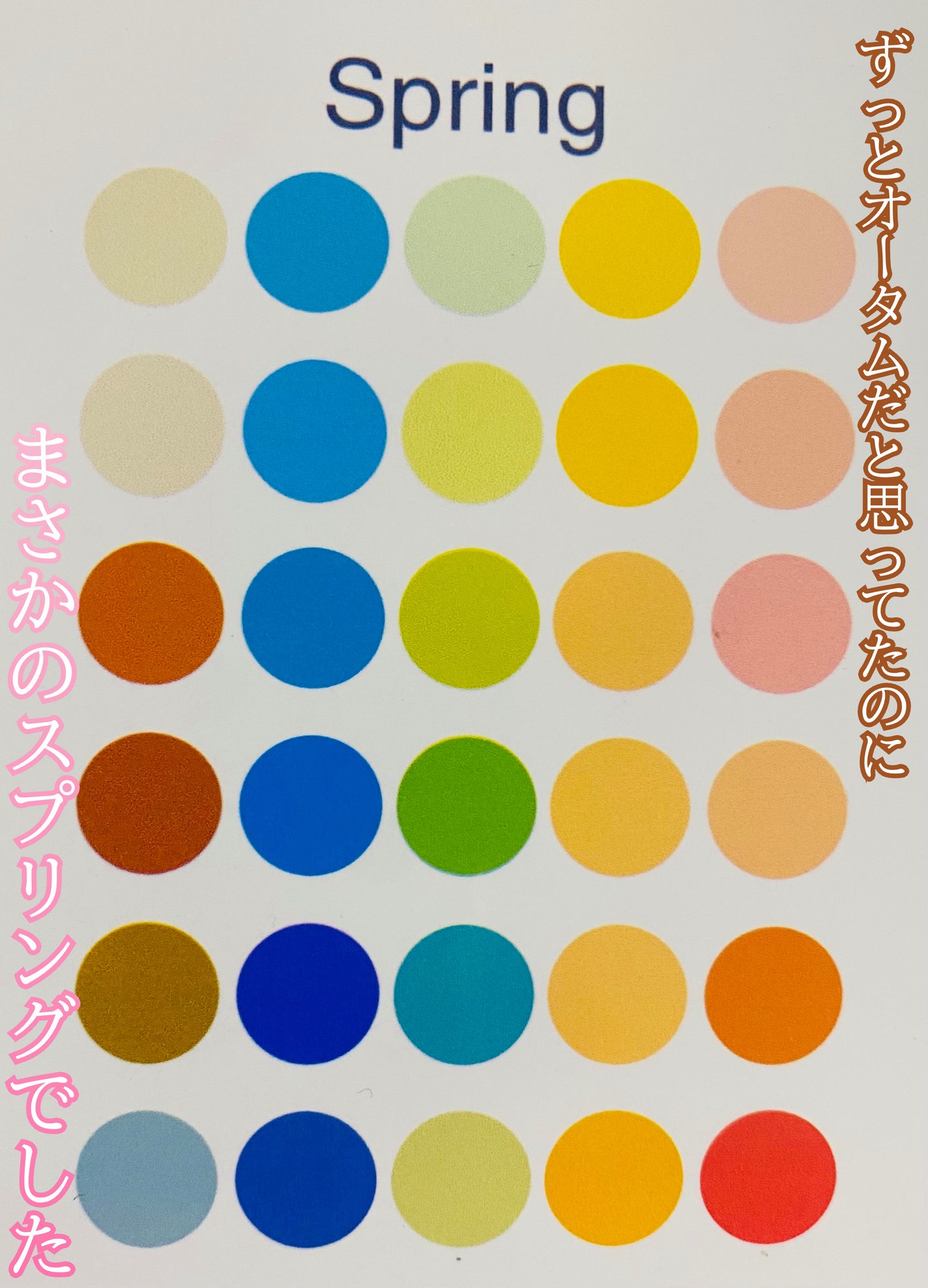 スキニーリッチシャドウ/excel/アイシャドウパレットを使ったクチコミ(2枚目)