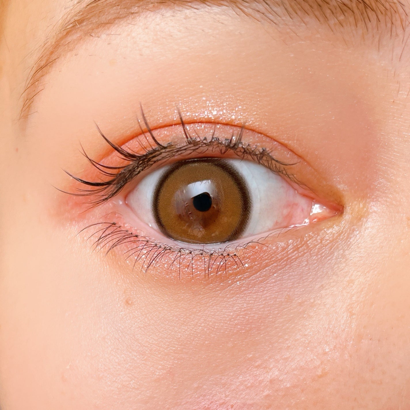 シルキースフレアイズ(マットタイプ)/キャンメイク/アイシャドウパレットを使ったクチコミ(3枚目)