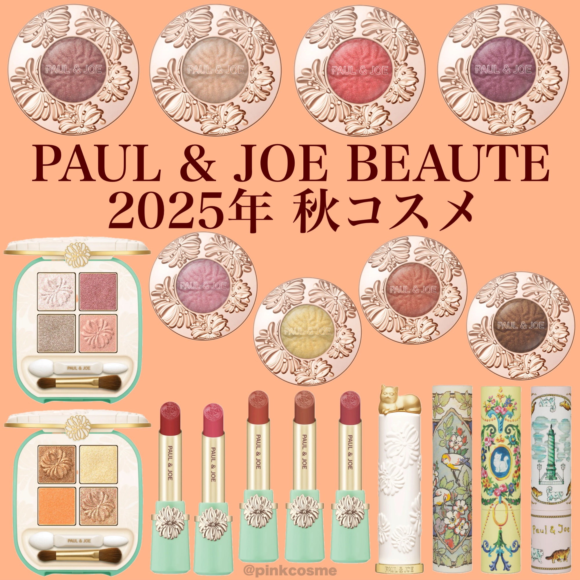 リップスティック/PAUL & JOE BEAUTE/口紅を使ったクチコミ（1枚目）