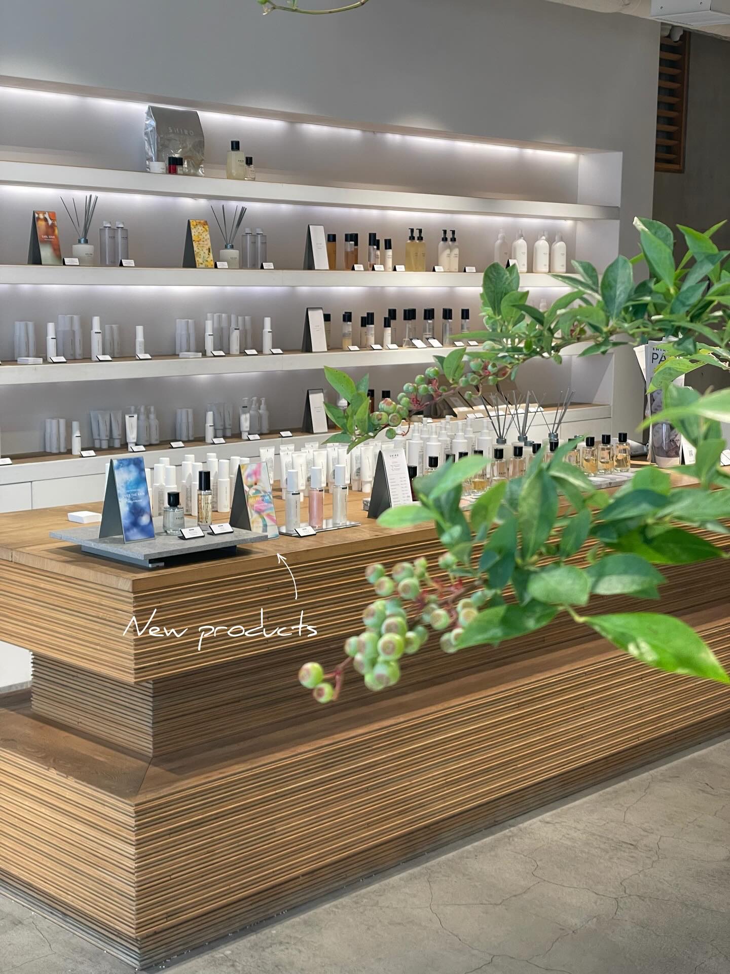 OVER THE RAIN オードパルファン/SHIRO/香水(その他)を使ったクチコミ（3枚目）