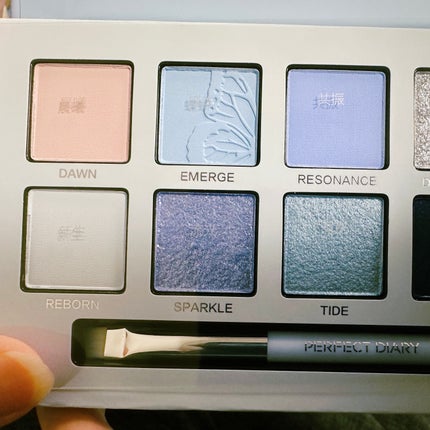 エクスプローラ12色 動物アイシャドウパレット/PERFECT DIARY/アイシャドウパレットを使ったクチコミ(5枚目)