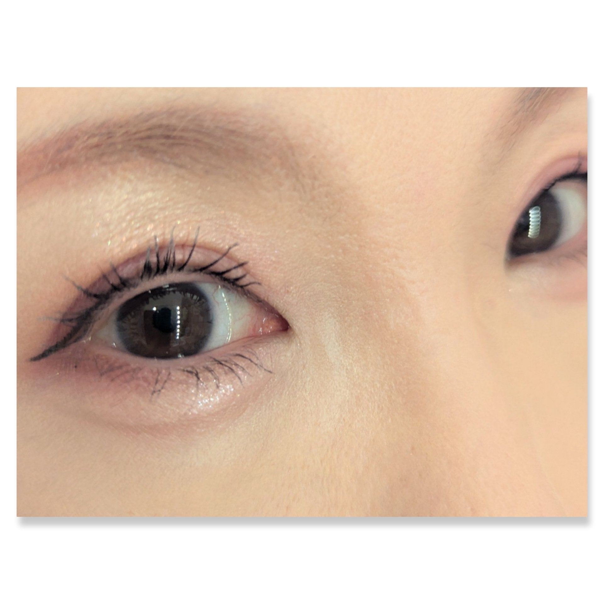 プレイカラーアイズミニ　ローズボム/ETUDE/アイシャドウパレットを使ったクチコミ（2枚目）