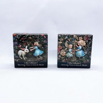 ブラーリングタイムトゥーキスアンドブラッシュ/Dinto/口紅を使ったクチコミ(1枚目)