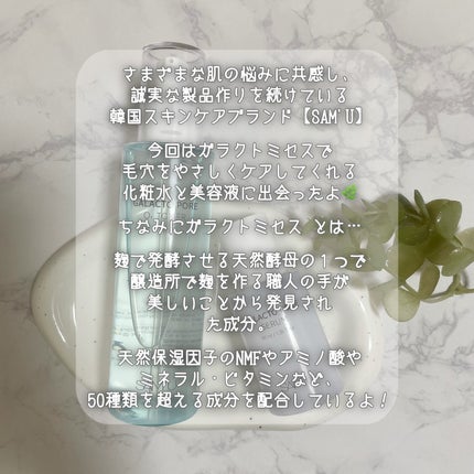 ガラクトポアO₂トナー/SAM'U/化粧水を使ったクチコミ(2枚目)