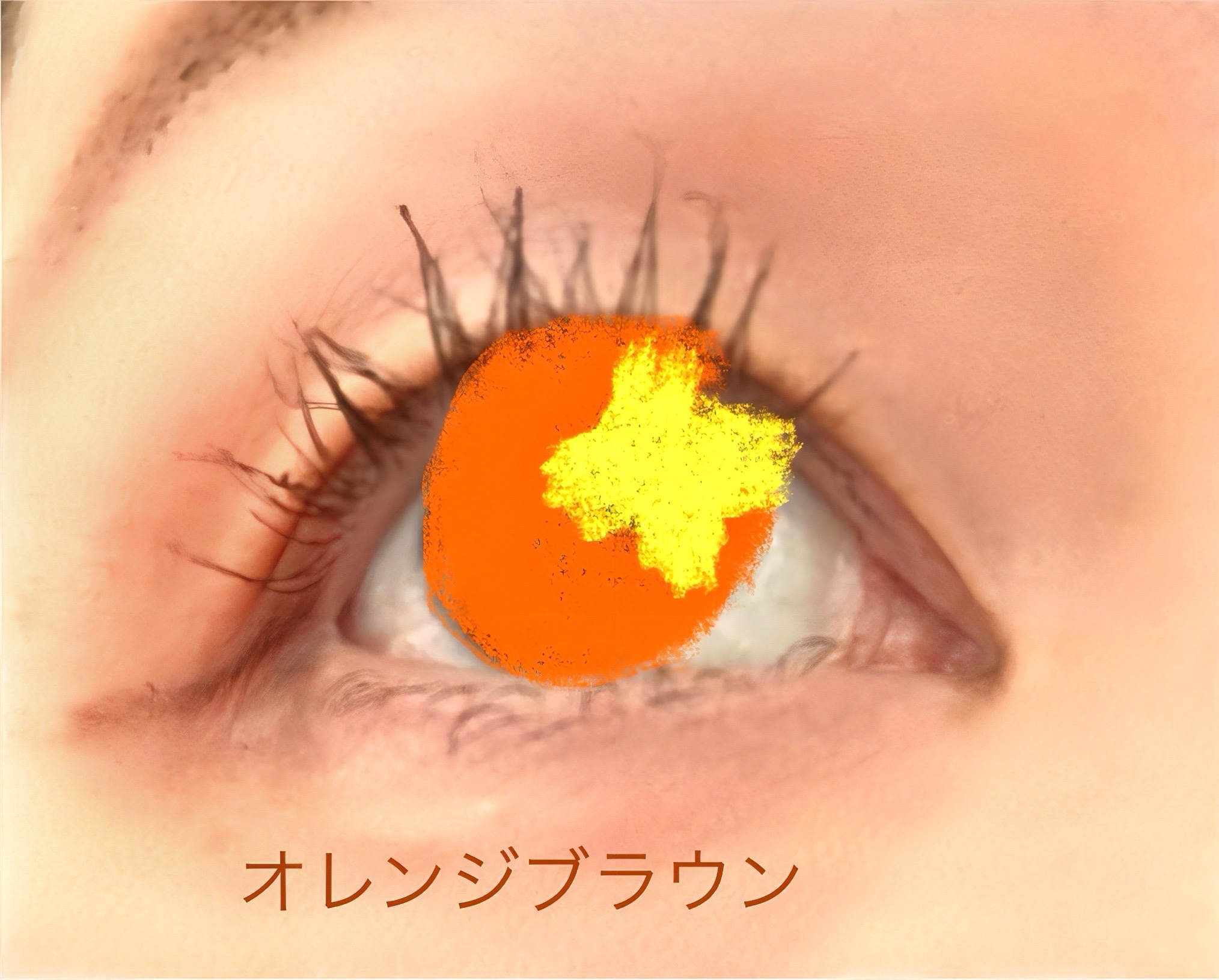 エテュセ アイエディション(カラーパレット)/ettusais/アイシャドウパレットを使ったクチコミ（2枚目）