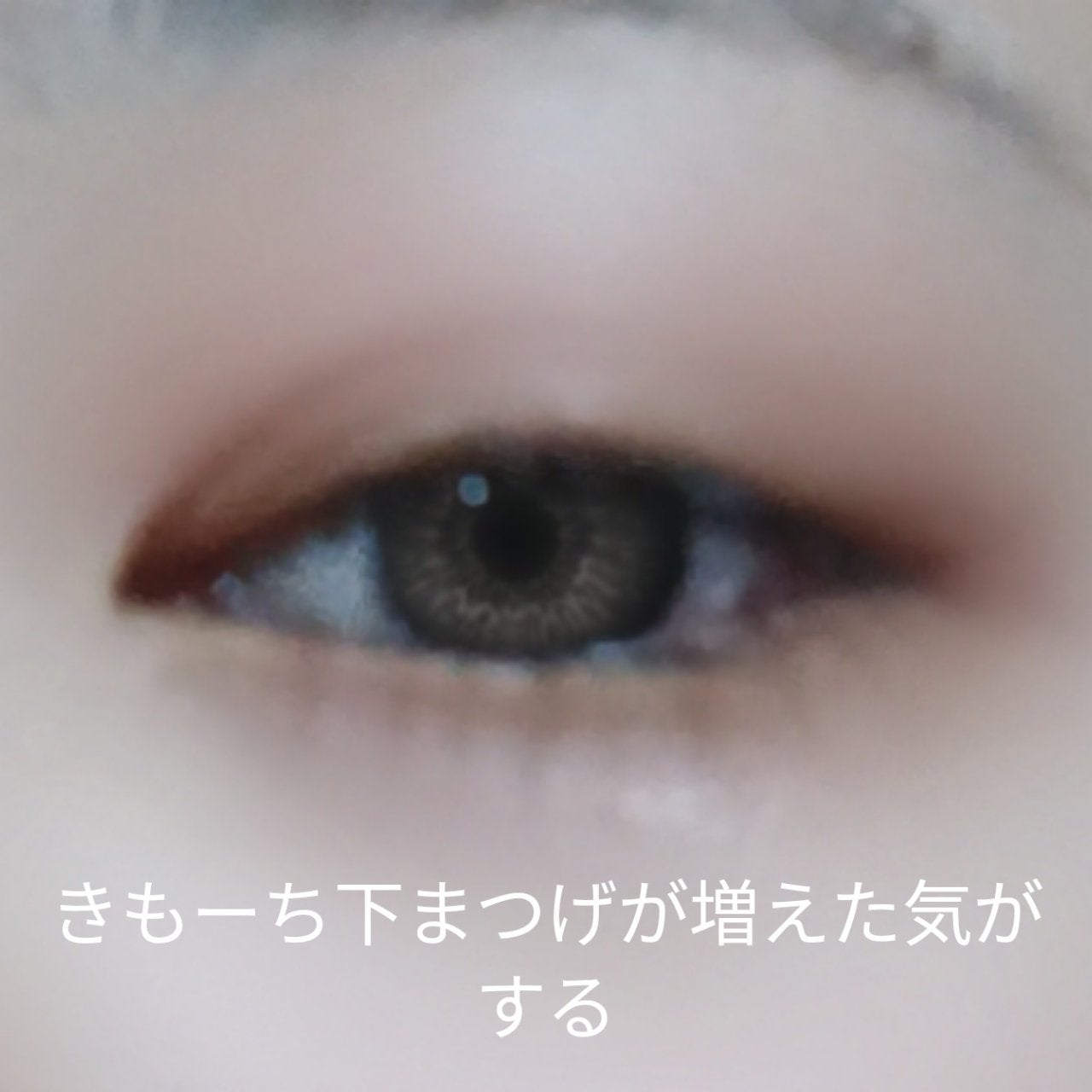 まつげ美容液EX/CEZANNE/まつげ美容液を使ったクチコミ(5枚目)