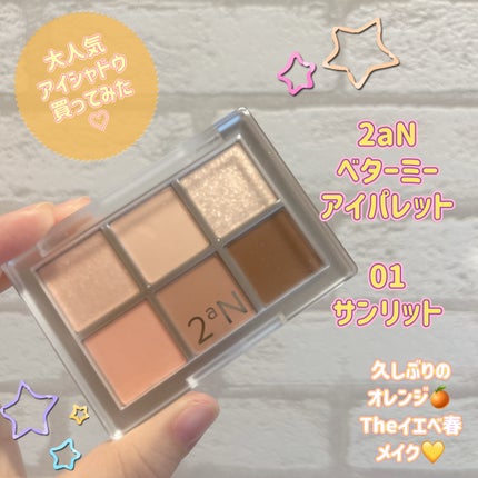 ベターミーアイパレット/2aN/マルチパレットを使ったクチコミ(1枚目)