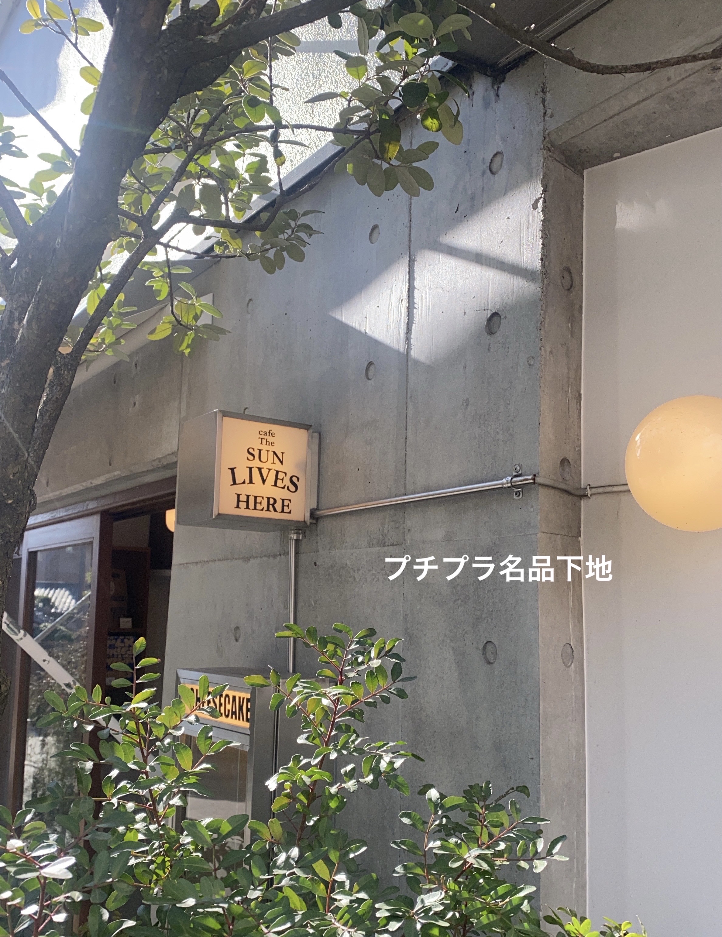 インテグレート うるピュアベース/インテグレート/化粧下地を使ったクチコミ（1枚目）