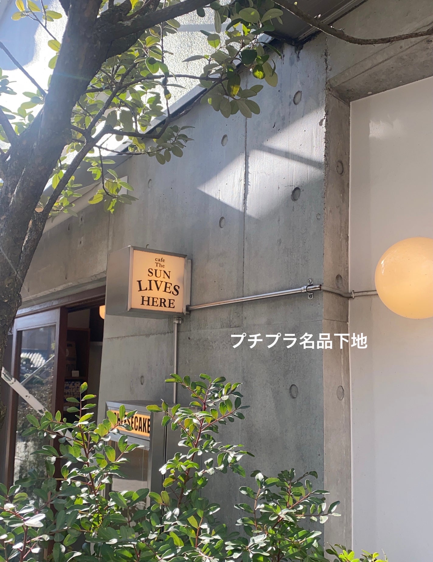 マーメイドスキンジェルUV/キャンメイク/日焼け止めジェルを使ったクチコミ(1枚目)