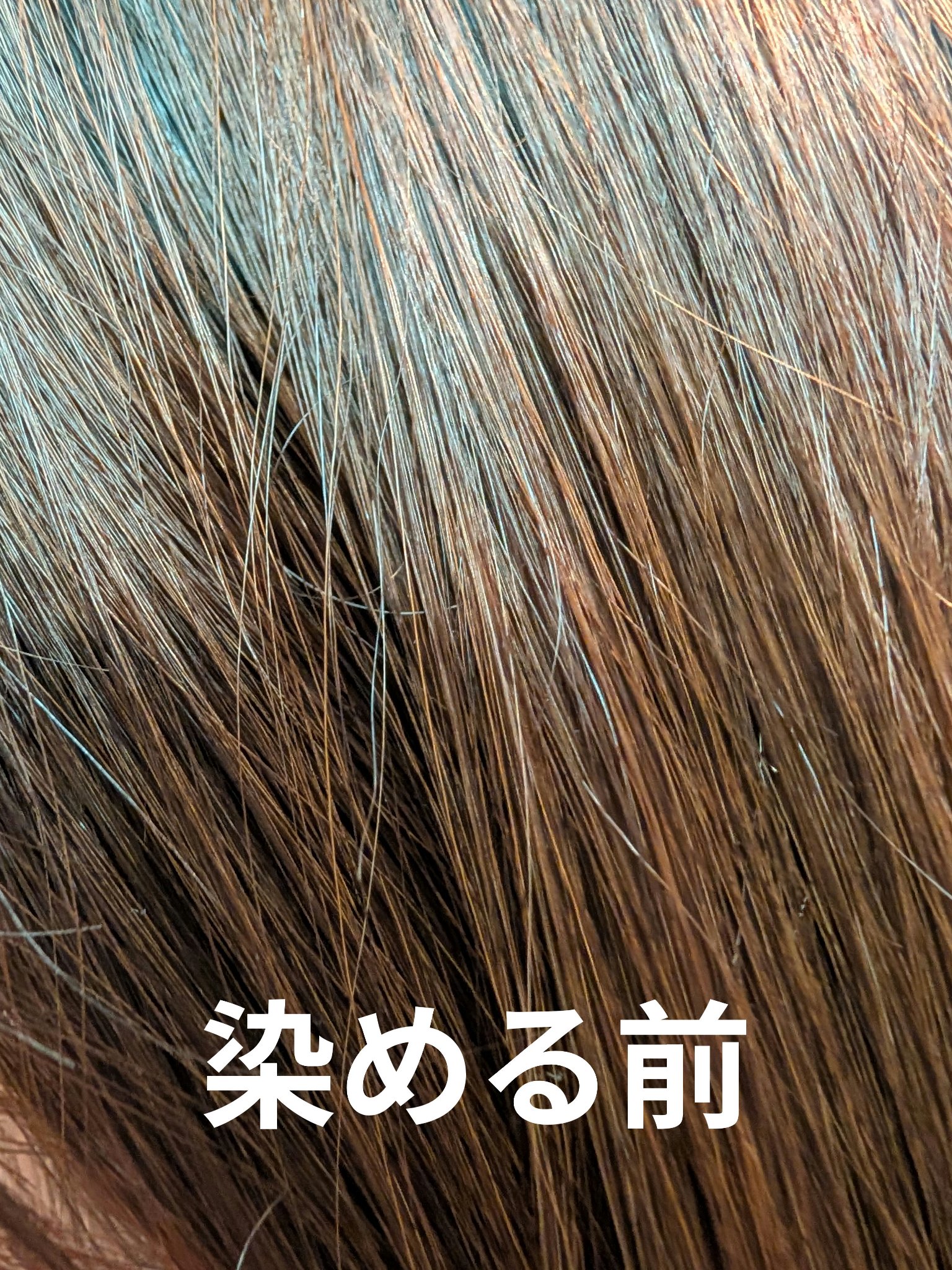 デビルズトリック/クイスクイス/ヘアカラーを使ったクチコミ（2枚目）