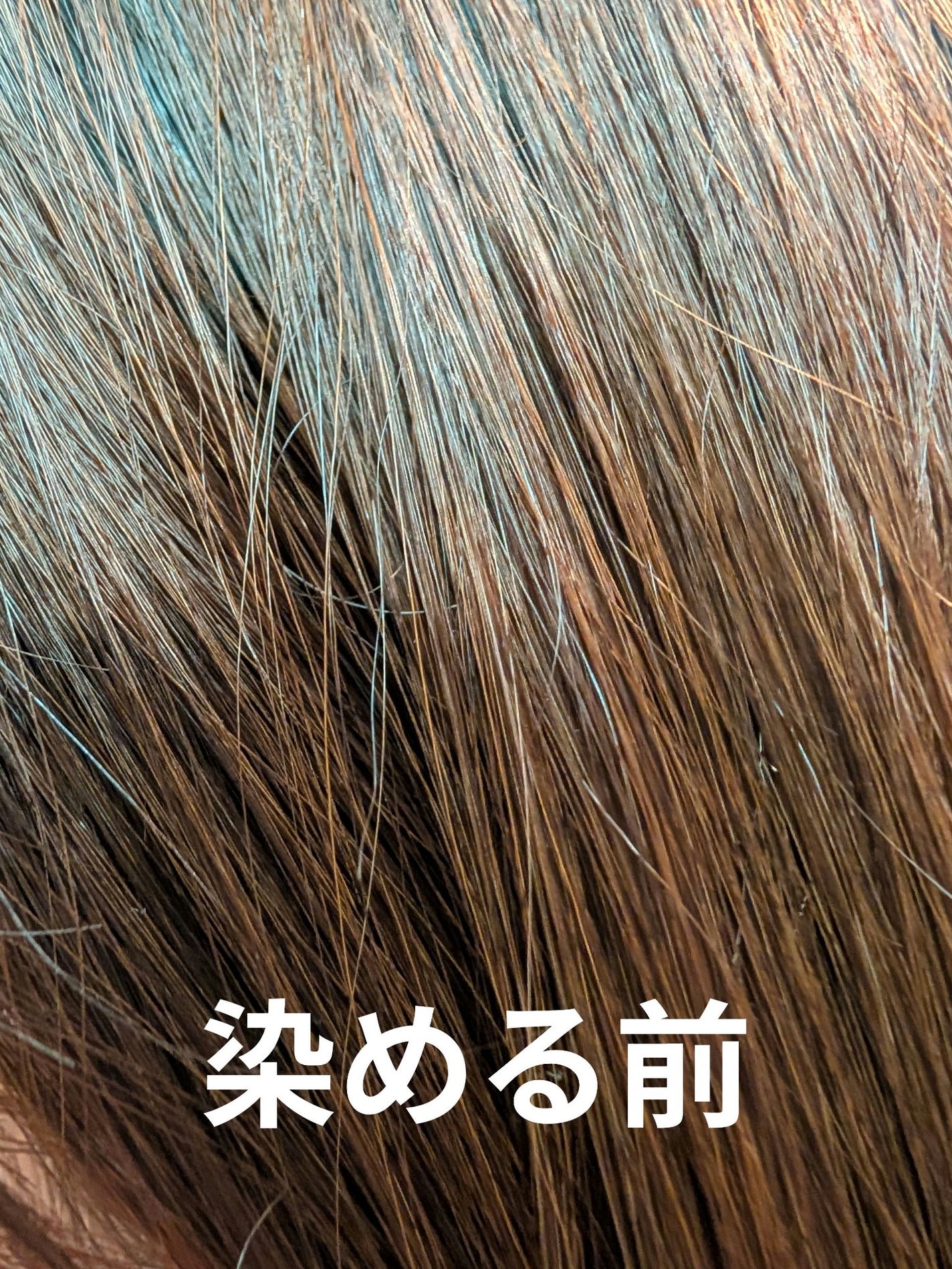 デビルズトリック/クイスクイス/ヘアカラーを使ったクチコミ(2枚目)