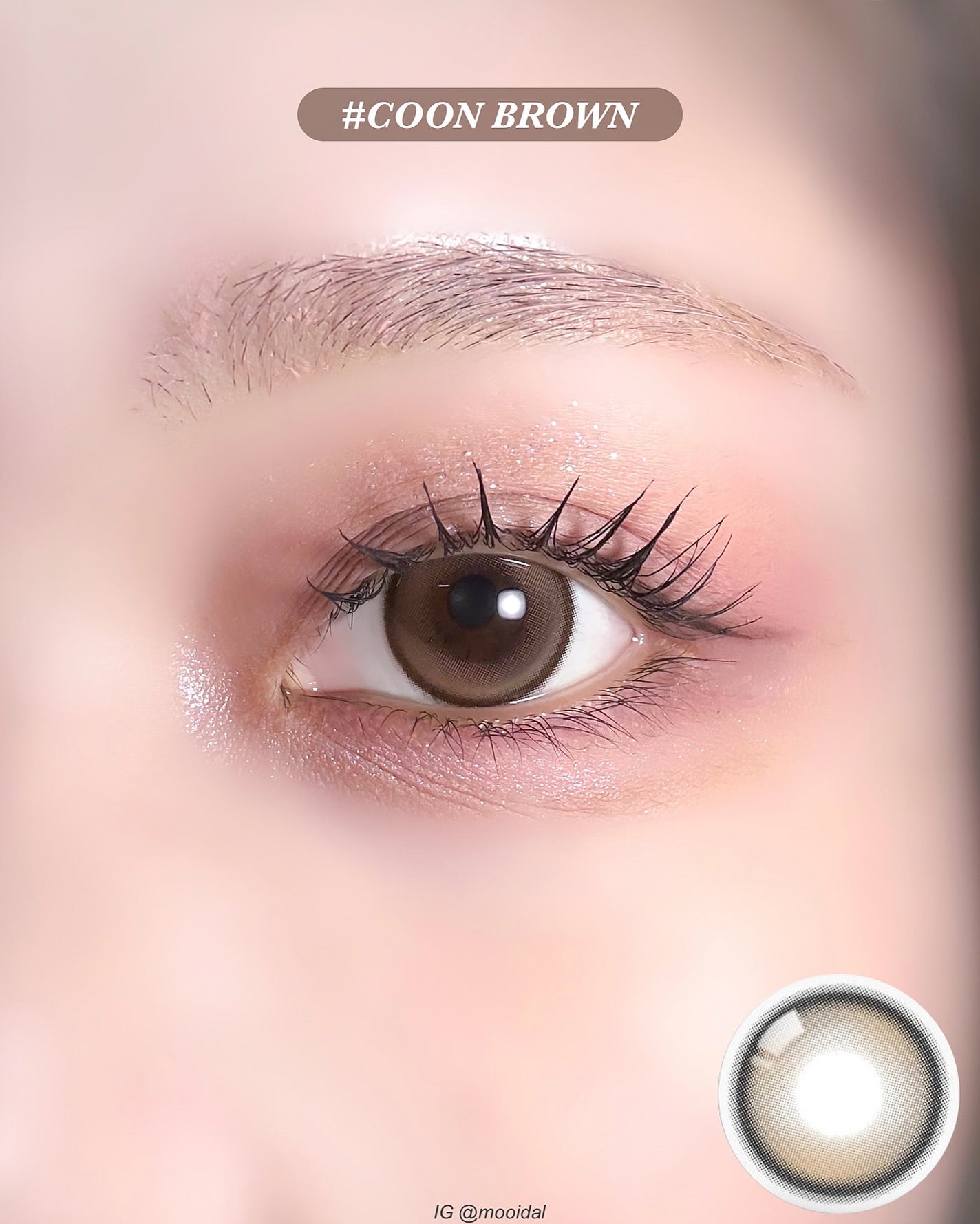 IDIFF MEOW 1DAY/OLOLA/ワンデー(1DAY)カラコンを使ったクチコミ(5枚目)