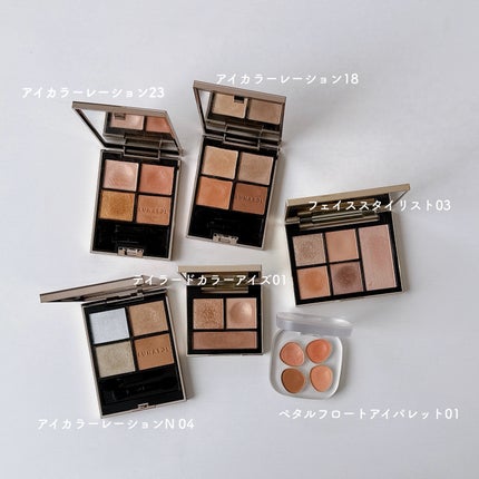アイカラーレーション/LUNASOL/アイシャドウパレットを使ったクチコミ(2枚目)