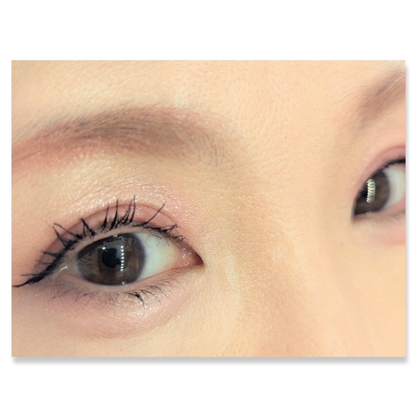 グラデーション アイシャドウ/ちふれ/アイシャドウパレットを使ったクチコミ(2枚目)