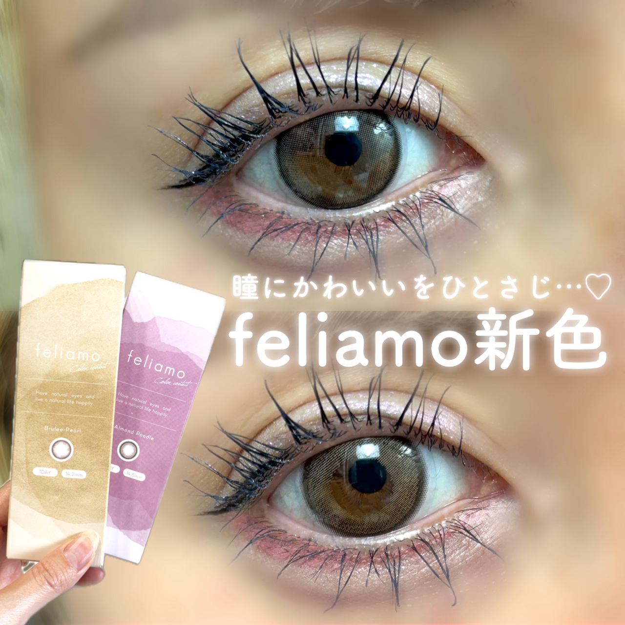 feliamo 1day/feliamo/ワンデー（１DAY）カラコンを使ったクチコミ（1枚目）