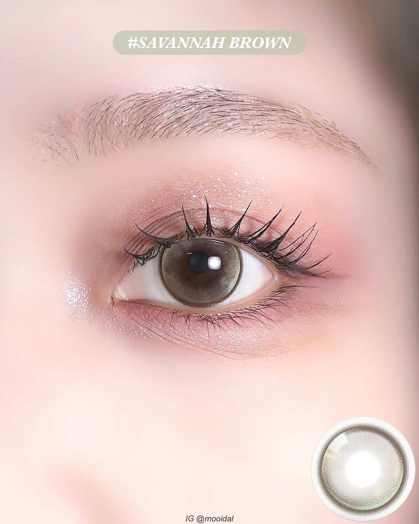 IDIFF MEOW 1DAY/OLOLA/ワンデー(1DAY)カラコンを使ったクチコミ(3枚目)