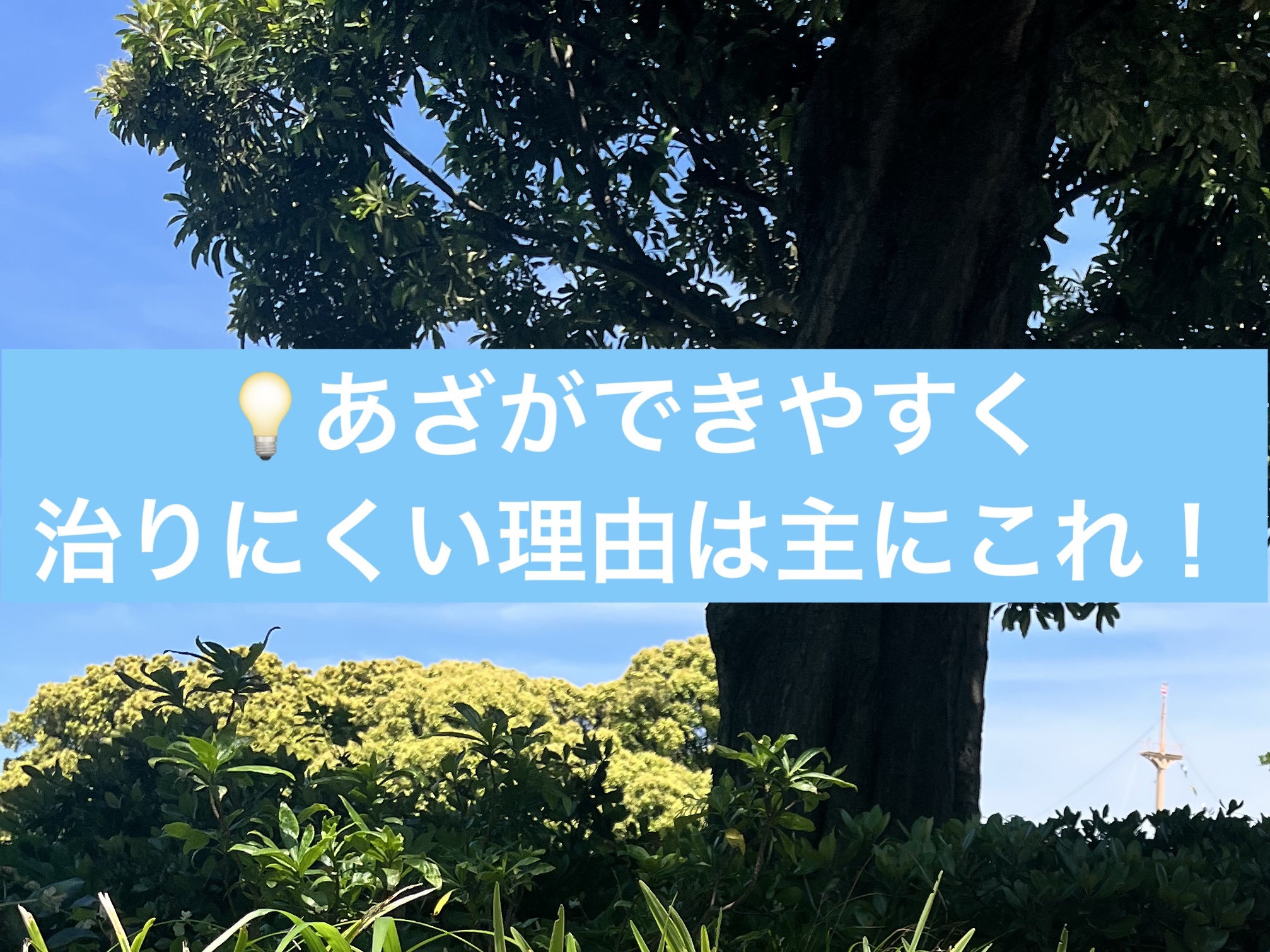 プルーンFe 1日分の鉄分 のむヨーグルト/雪印メグミルク/飲むヨーグルトを使ったクチコミ（1枚目）