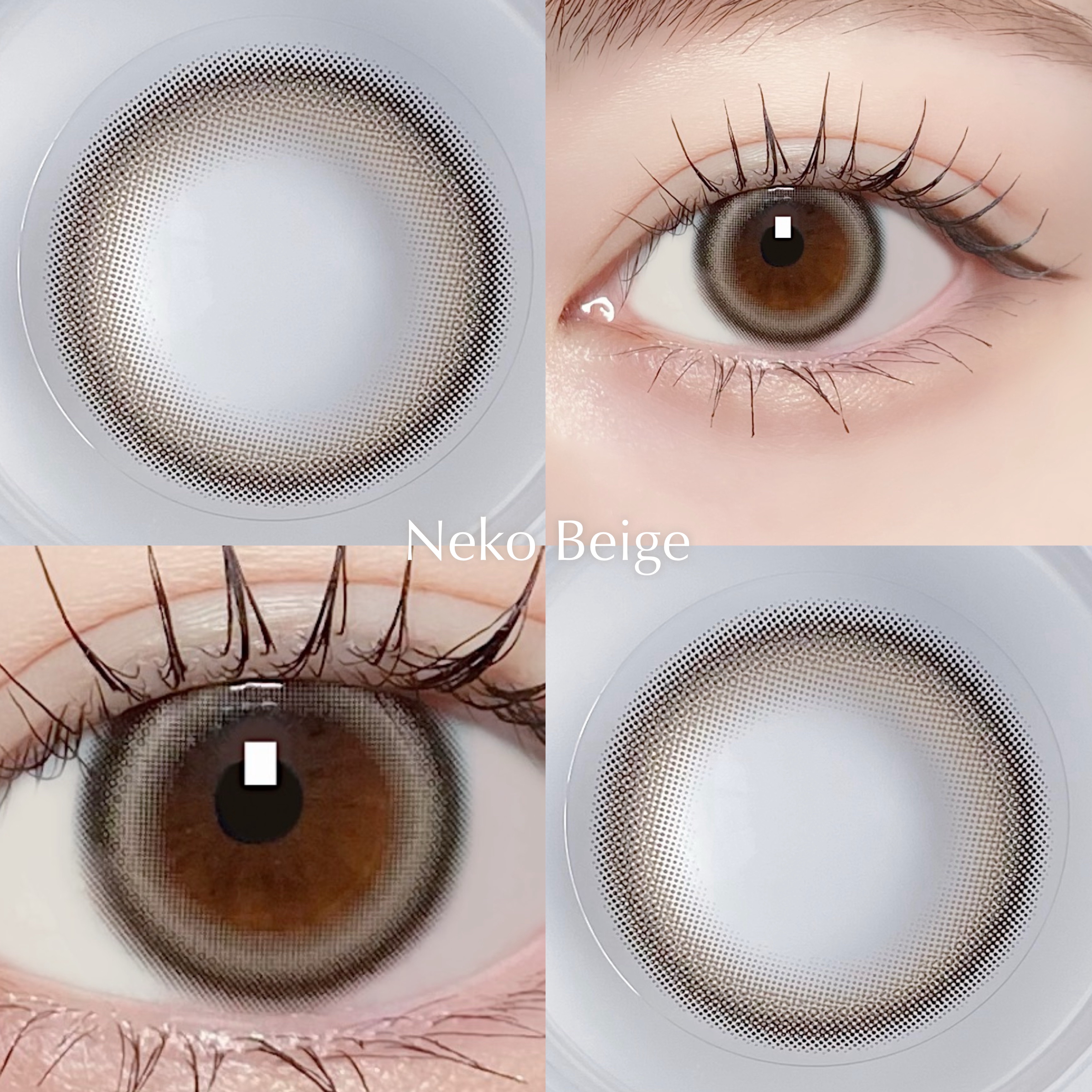 ANGÉLIQUE 1day/ANGÉLIQUE/ワンデー（１DAY）カラコンを使ったクチコミ（3枚目）