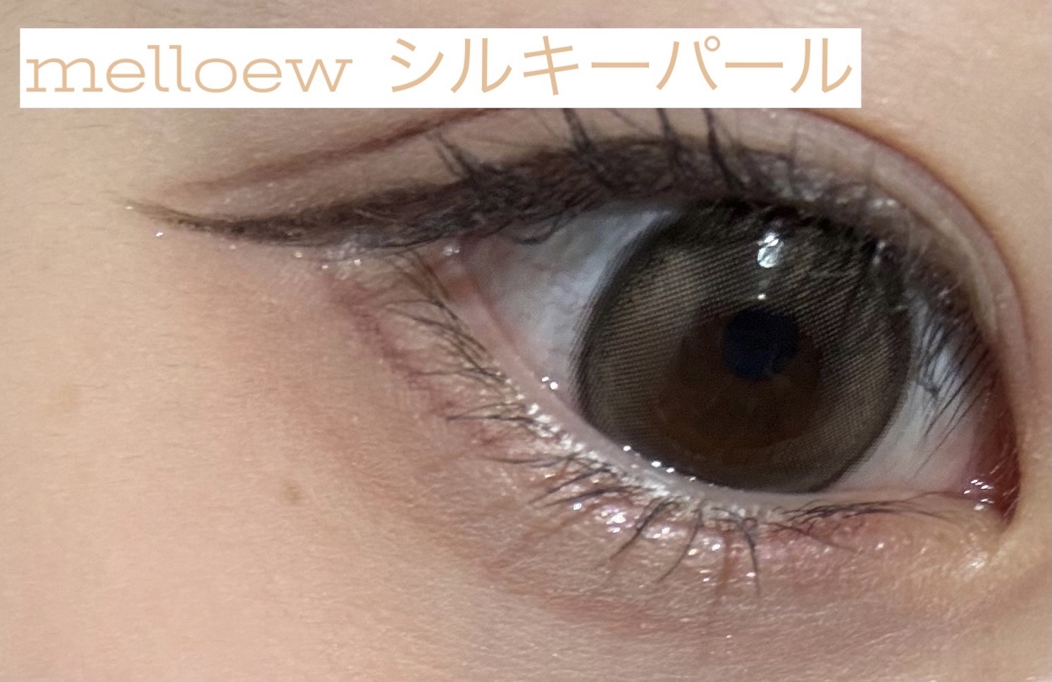 melloew 1day シルキーパール/melloew/ワンデー（１DAY）カラコンを使ったクチコミ（1枚目）