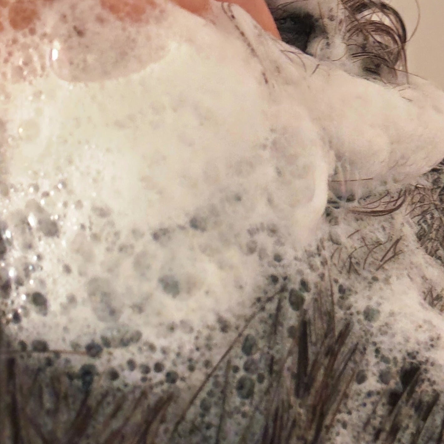 グローターン 3Dボリュームシャンプー/リリーイブ/市販シャンプーを使ったクチコミ(5枚目)