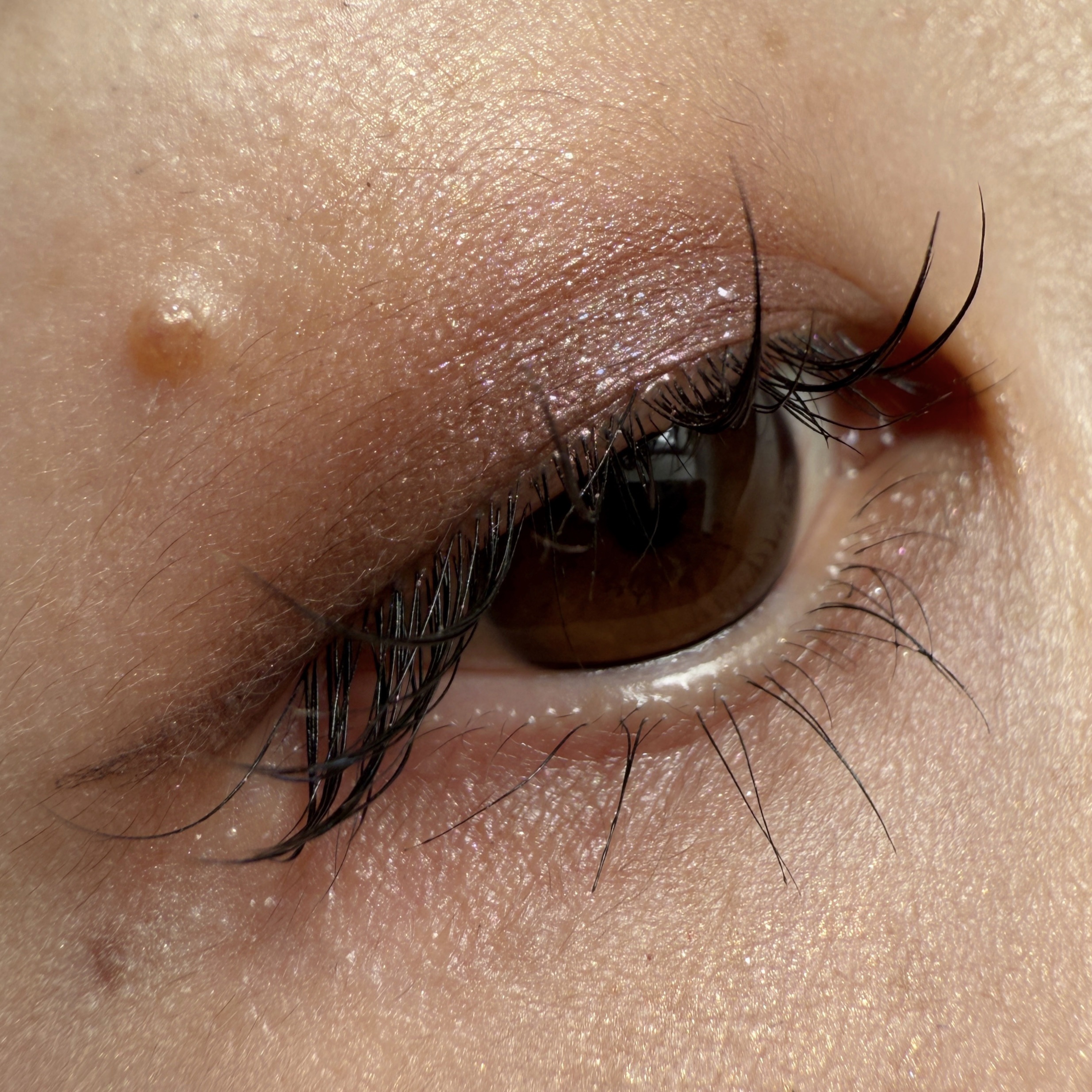 RMK インフィニシェイド シングル アイシャドウ 01 スムーススモーク(M) /RMK/単色アイシャドウを使ったクチコミ（2枚目）