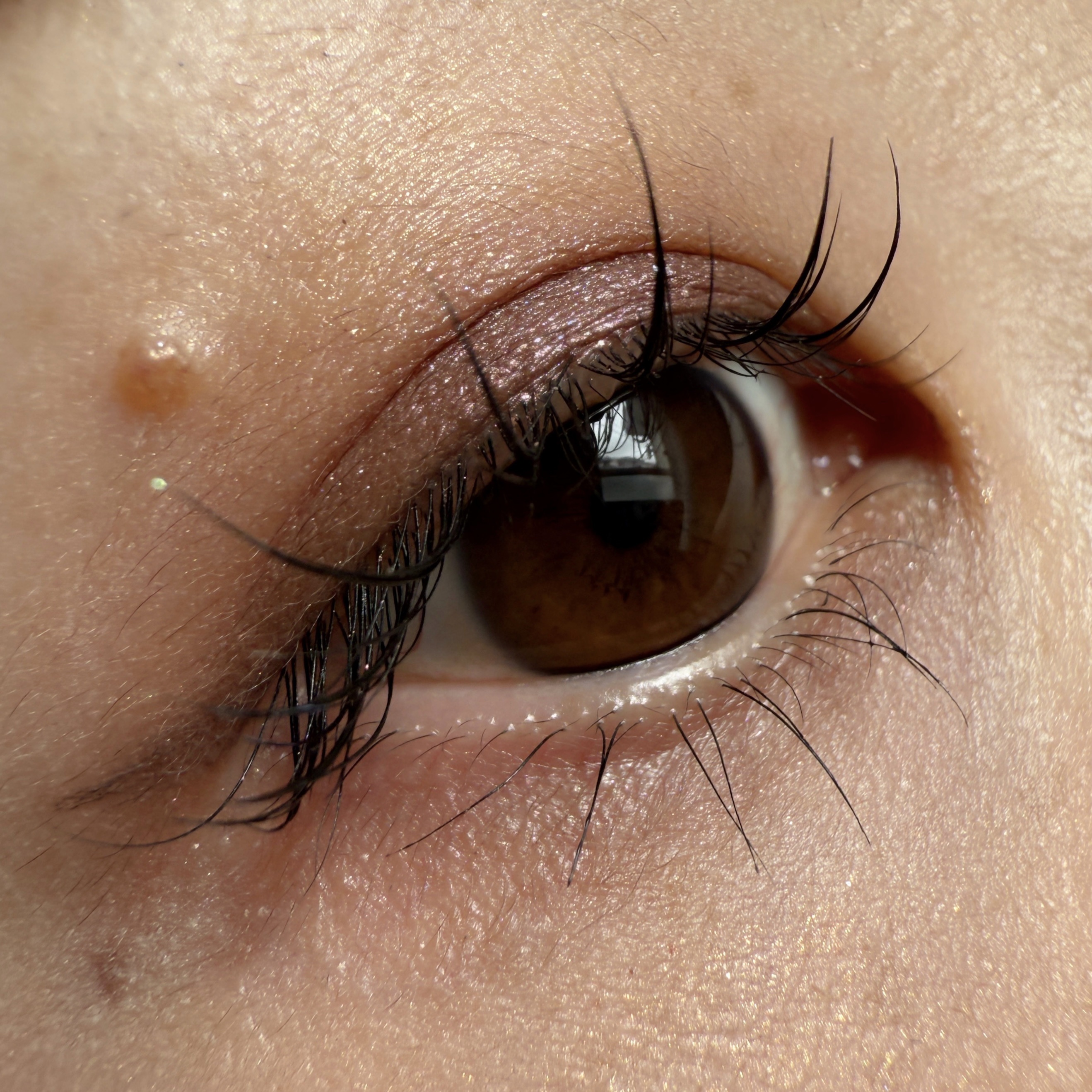 RMK インフィニシェイド シングル アイシャドウ 01 スムーススモーク(M) /RMK/単色アイシャドウを使ったクチコミ（1枚目）